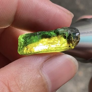 Chasing Sapphire 2026